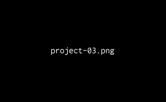 Project 03