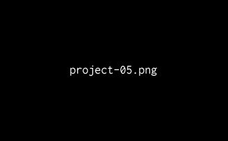 Project 05